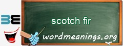 WordMeaning blackboard for scotch fir
